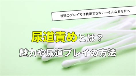 尿道オナニーのまとめ ※尿道責めのやり方・方法やリスク・危。